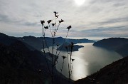 53 Vista sud sul Lago d'Iseo